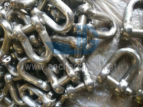 BS3032 ডি শ্যাকল