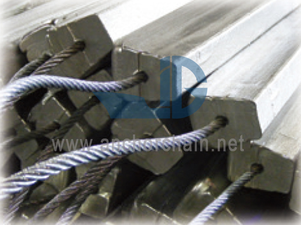 তারের anodes