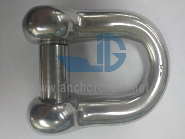 ডি-শেকল (স্লট সিঙ্ক পিন সহ), SS304 বা SS316