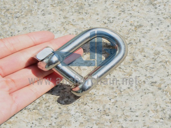 ডি-শেকল (স্কয়ার হেড পিন সহ), SS304 বা SS316