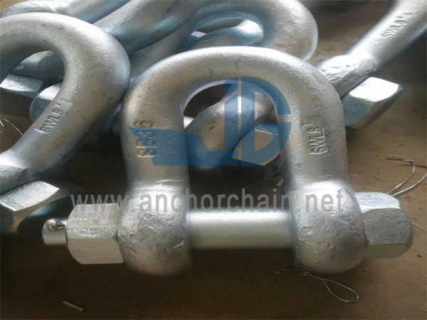 D টাইপ GB559 শিপ শ্যাকল